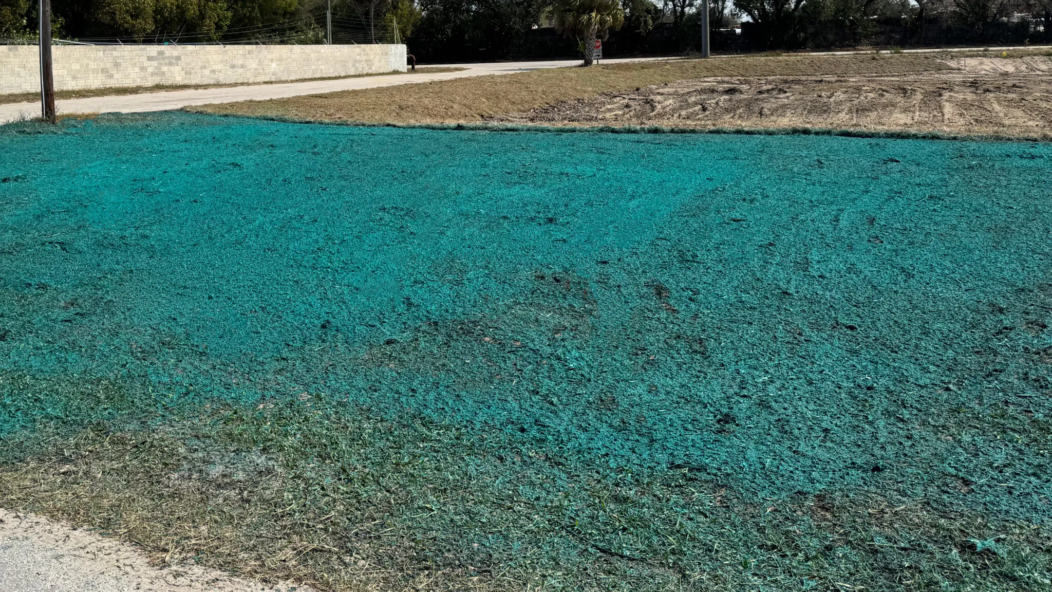 Fresh hydroseed application showing green slurry on a graded lot